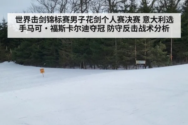 世界击剑锦标赛男子花剑个人赛决赛 意大利选手马可·福斯卡尔迪夺冠 防守反击战术分析